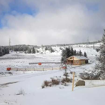 Holiday home Зелената Къща